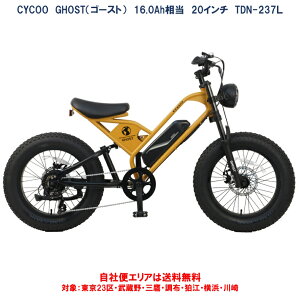 d] CYCOO FAT BIKE GHOSTiS[Xgj TDN-237L Plus 20×4.0 16.0Ah ^F擾 ЕփGAinj