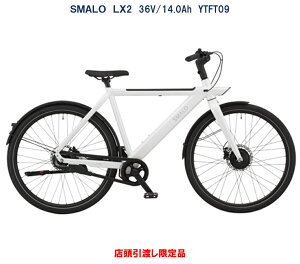 d] SMALO LX2iX}\ GGbNXc[j 28C` 36V/14.0Ahi20.1Ahj YTFT09 ^F擾ς i Xn