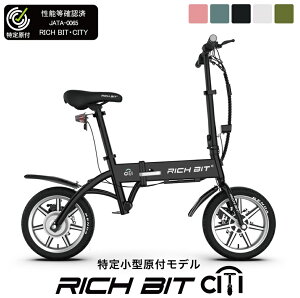 菬^t] ܂肽 RICH BIT CITY ib` rbg VeBj 14×2.125 14.6Ah F؎擾ς ЕփGAinj