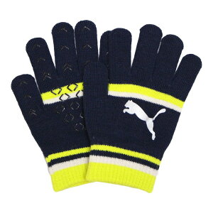  jbg ̂т̂  ׂ~ q PUMA v[} LbY WjA j̎q X|[c q ~ w ʊw 