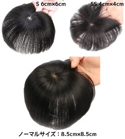 人毛 ウィッグ 前髪ウィッグ 人毛100％ 部分ウィッグ 頭頂部 人毛ウィッグ 白髪隠し ポイントウィッグ 薄毛対策 かつら つけ毛 トップカバー 増毛 ナチュラル 自然 つむじ付き 軽量 円形脱毛 ヘアピース