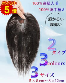 [返品交換OK] 人毛ウィッグ 人毛100% 部分ウィッグ 総手植え 前髪ウィッグ 人毛 ウィッグ 頭頂部 ポイントウィッグ 医療用 薄毛 増毛 部分かつら 自然 白髪かくし つけ毛 トップカバー つむじ付き