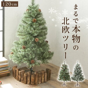 y11܂5,590~~zNX}Xc[ 120cm w܂Ŗ{̖kc[x k c[   NX}X J  t  r[ ] y14̂Eϊm