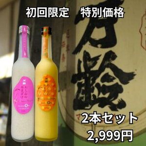 y񂨎Zbgz ƂȂ̂܂500mlTIPE1/ ƂȂ̂܂500mlV[N[T[@e1{Zbg@Y@1Zbg