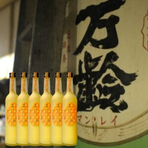  ƂȂ̂܂ V[N[T[500ml 6{Zbg Î Y č  Y Y  N h{ sgp Ösgp Ȃ  V[N[T[ k@ 
