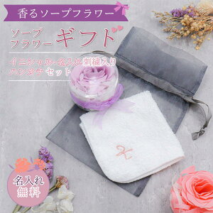 v[g 2024 JWAMtg hJnJ`\[vt[Zbg I[KW[В p[\iCYMtg p[v 100% 20×20cm 5F ( nJ` v[g h