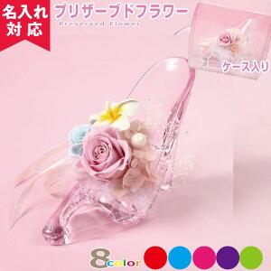 yzypP[XtzVfKX̌C isNj ̓ v[g 2023N (vUuht[AW Vzj j LO v|[Y̑蕨 ԑ I[_[Ch