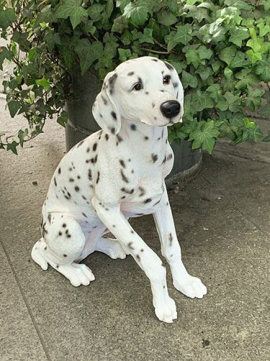 楽天市場】ダルメシアン(ブラックスポット）ガーデニング 犬 置物 