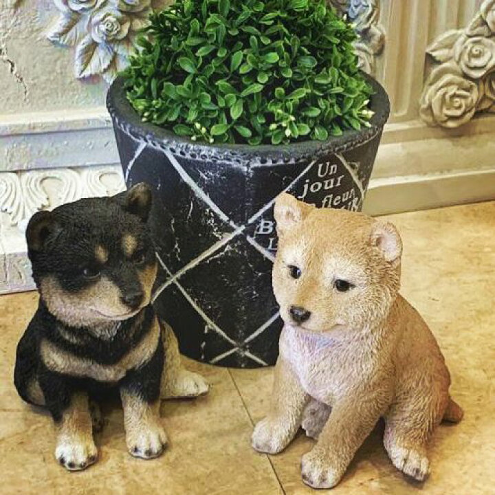 楽天市場 柴犬 子犬 2匹セット 赤柴 1 黒柴 1 ガーデニング 犬 置物 インテリア 動物 オブジェ 子犬 豆柴 ハッピーグッズコレクション