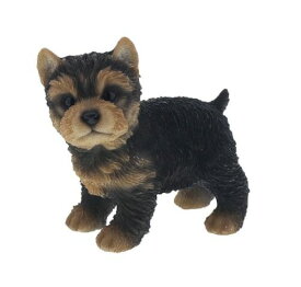 ヨークシャーテリア：子犬ヨーキー 置物 オブジェ 犬 ガーデニング インテリア 動物 子犬
