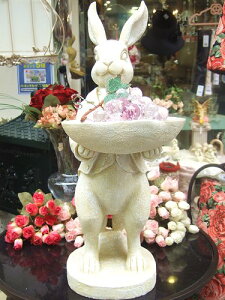 X^fBOoj[FLTCYrbg @oj[ u IuWF K[fjO   o[htB[_[ lC yHLS_DUz