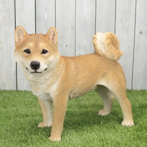 ČiejK[fjO  u CeA  IuWF q