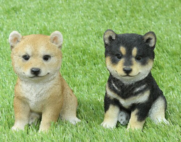 楽天市場 柴犬 子犬 黒柴ガーデニング 犬 置物 インテリア 動物 オブジェ 子犬 ハッピーグッズコレクション