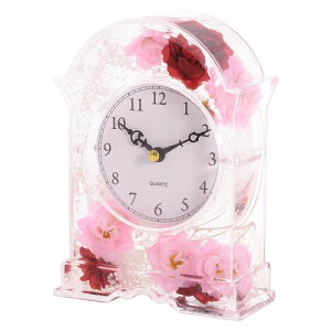 ANԒuvFg[Yuv@ AN@@KN@yHLS_DUz