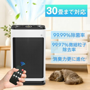 y11VN[|ōň9980~IzC@ ybg ybgL  L EL 30 20ȏ ȃGl É  ԕ  HEPAUV nEX_Xg RpNg ybg̖тzC