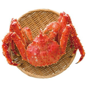 j Ԃ  CN Ε Mtg ԑY {C ΂ p Zbg lߍ킹 ^oKj I Jj Hi Hו oYj j j oYj o TԂ