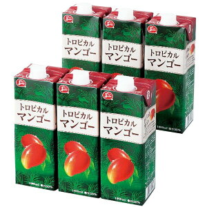 j Ԃ  W[X Ε ~Mtg Mtg ʎ gsJ}S[W[X 1L 6{ Zbg lߍ킹 t[cW[X  oYj j j oYj 