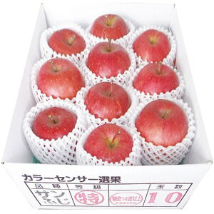 Ε  ʕ Mtg t[c XY x14xۏ Tӂ  ь 2.5kg Zbg lߍ킹 { ʕ  Yi Yi   O Hi Ε 2025 