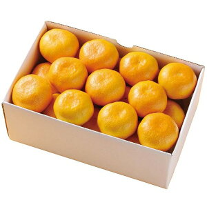 Ε  ʕ Mtg t[c QY ݂ 2kg Zbg lߍ킹 ˓ ~J  k { ʕ  Yi Yi  O Hi Ε 2025 ΕMtg 