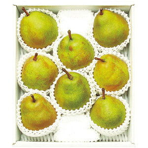 Ε  ʕ Mtg t[c ݉̎R`Y tX 2.5kg Zbg lߍ킹  {  m miV mȂ  Yi  O Hi Ε 2025 ΕM