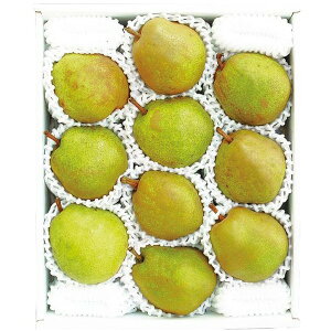 Ε  ʕ Mtg t[c ݉̎R`Y tX 3.2kg Zbg lߍ킹  {  m miV mȂ  Yi  O Hi Ε 2025 ΕM