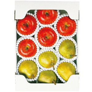 Ε  ʕ Mtg t[c ݉̎R`Y Tӂ  tX 3kg Zbg lߍ킹   m miV mȂ S  O Hi Ε 2025 