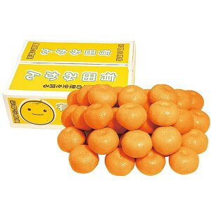 Ε  ʕ Mtg t[c a̎RY Lc݂ 5kg Zbg lߍ킹  B݂ { ݂ ~J  k  O Hi Ε 2025 ΕMtg 