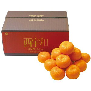 Ε  ʕ Mtg t[c QY ݂ 3kg Zbg lߍ킹  { ݂ ~J  k  O Hi Ε 2025 ΕMtg 蕨 Ԃ A 