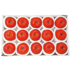 Ε  ʕ Mtg t[c 쌧Y MB Tӂ  3.4kg Zbg 10~15 lߍ킹  { ь S  O Hi Ε 2025 ΕMtg 蕨 