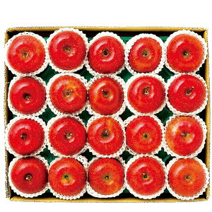 Ε  ʕ Mtg t[c 쌧Y MB Tӂ  4.8kg Zbg 16~20 lߍ킹  { ь S  O Hi Ε 2025 ΕMtg 蕨 