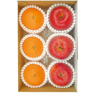 Ε  ʕ Mtg t[c QY g܂ǂ ݂ XY Tӂ  Zbg lߍ킹 {  ~J S ь  O Hi Ε 2025 