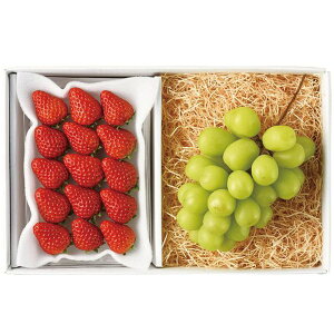 Ε  ʕ Mtg t[c VC}XJbg  Zbg lߍ킹 Ԃǂ  uhE C`S  {    O Hi Ε 2025 ΕMtg 