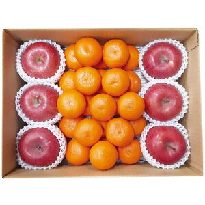 Ε  ʕ Mtg t[c a̎RY ݂ XY Tӂ  Zbg lߍ킹 ~J  k ь S  {  O Hi Ε 2025 Ε