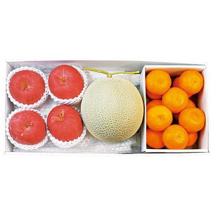 Ε  ʕ Mtg t[c BY }XN 쌧Y TtW  4 a̎RY Lc݂ Zbg lߍ킹  {  O Hi Ε 2025 Ε