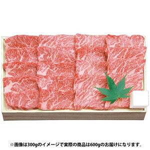 Ε  ߍ]  a Mtg Jr ē Ă 600g Zbg lߍ킹 ㎿  Y ~  O Hi Ⓚ Ε 2025 ΕMtg 蕨 Ԃ A 