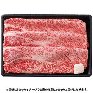 Ε  ߍ]  a Mtg [X Ă ₫ 600g  ㎿  Y   ~   O Hi Ⓚ Ε 2025 ΕMtg 蕨 