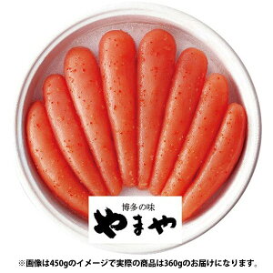 Ε  CN  CY Mtg ܂ F hqq 360g Zbg lߍ킹 ߂񂽂 ܂ т̂   O Hi Ε 2025 ΕMtg 蕨 