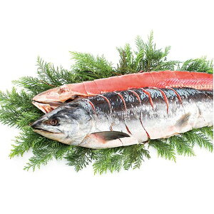 Ε  CN  CY Mtg kCY V pؐg 1 t g 2 1.7kg Zbg lߍ킹   O Hi Ⓚ Ε 2025 ΕMtg 蕨 Ԃ 