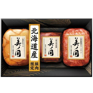 Ε  n Mtg {n kC v~A m n ē ~[g[t Zbg lߍ킹 jb|n  O Hi ① Ε 2025 ΕMtg 蕨