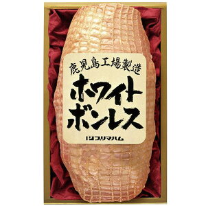 Ε  n Mtg {n zCg{Xn 1.2kg nXe[L XCXn jb|n Hi O Hi Ε 2025 ΕMtg 蕨 Ԃ A   