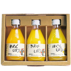 Ε  W[X Mtg t[cW[X ɓ_ ʏ`100 sAW[X 3{ Zbg lߍ킹 ݂ k r  hN O Hi Ε 2025 ΕMtg 蕨 