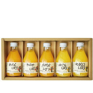 Ε  W[X Mtg t[cW[X ɓ_ ʏ`100 sAW[X 5{ Zbg lߍ킹 ݂ k r  hN O Hi Ε 2025 ΕMtg 蕨 