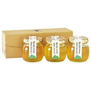 Ε   ݂͂ Mtg ɓ_ RԂ݂̂͂ 3{ Zbg lߍ킹 I nj[ rl  a̎R Lc O Hi Hו Ε 2025 ΕMtg 蕨 Ԃ 