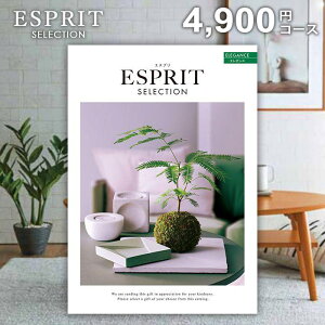 y[ zJ^OMtg GXv GKX 4900~R[X j j Ԃ oYj j o oYj j Cj v[g w j 