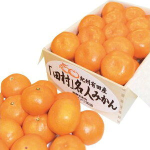 Ε  t[c Mtg _Cʉ Lc݂ IBLc c l݂ 2.5kg Zbg lߍ킹 ʕ ʎ ~J k { Y O Hi Hו Ε 2025 ΕMtg 