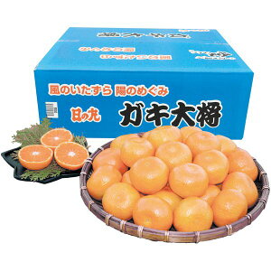 Ε  t[c Mtg QY ̊ۂ݂ KL叫 5kg Zbg lߍ킹 ʕ ʎ ݂ ~J k Y Yi  O Hi Hו Ε 2025 ΕMtg 