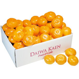 Ε  t[c Mtg _Cʉ Q݂ 4kg  Zbg lߍ킹 ʕ ʎ ~J  k { Y Yi  O Hi Hו Ε 2025 ΕMtg 