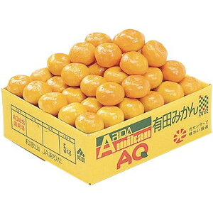 Ε  t[c Mtg a̎R Lc݂ 3kg Zbg lߍ킹 ʕ ʎ ݂ ~J k { Y Yi  O Hi Hו Ε 2025 ΕMtg 蕨 