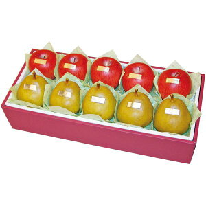 Ε  t[c Mtg R`Y tX 5 Y Tӂ  5 Zbg lߍ킹 ʕ ʎ m  S {  O Hi Ε 2025 ΕMtg 蕨