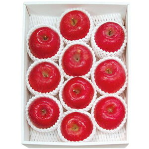 Ε  t[c Mtg XY xZT[I Tӂ  2.5kg Zbg lߍ킹 ʕ ʎ S ь Yi  O Hi Ε 2025 ΕMtg 蕨